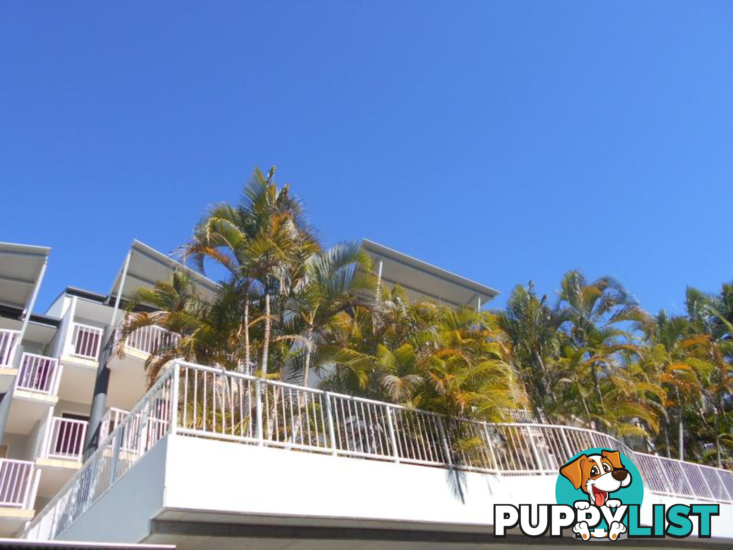 38 Lissner Street TOOWONG QLD 4066