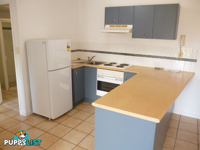 38 Lissner Street TOOWONG QLD 4066