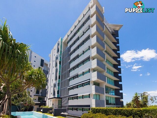 39/89 Lambert St KANGAROO POINT QLD 4169