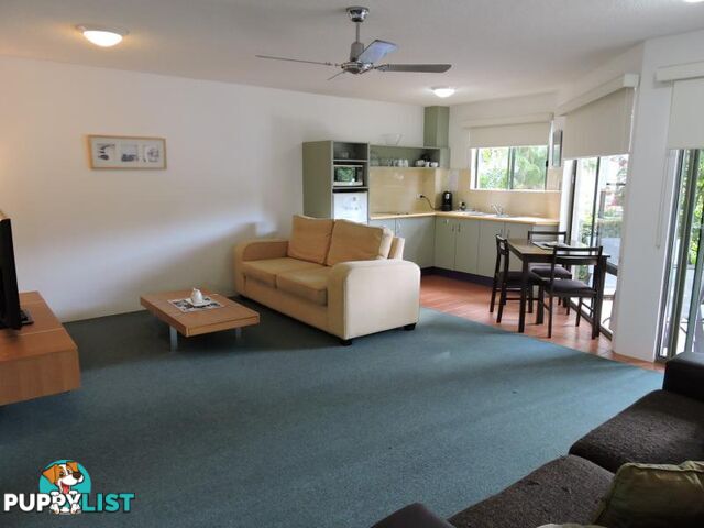 243 Weyba Road and Reef St NOOSAVILLE QLD 4566