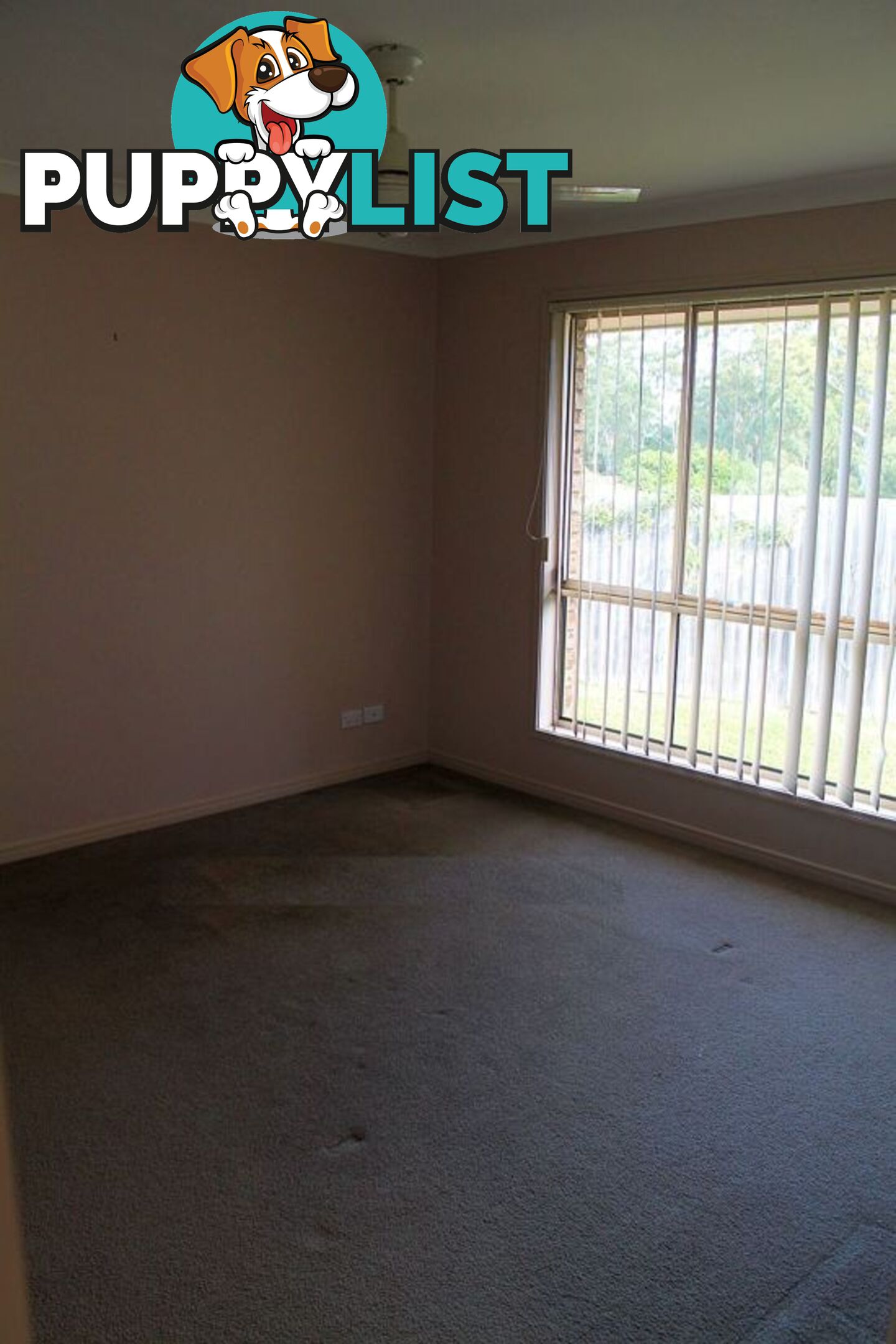 22 Rix Drive UPPER COOMERA QLD 4209
