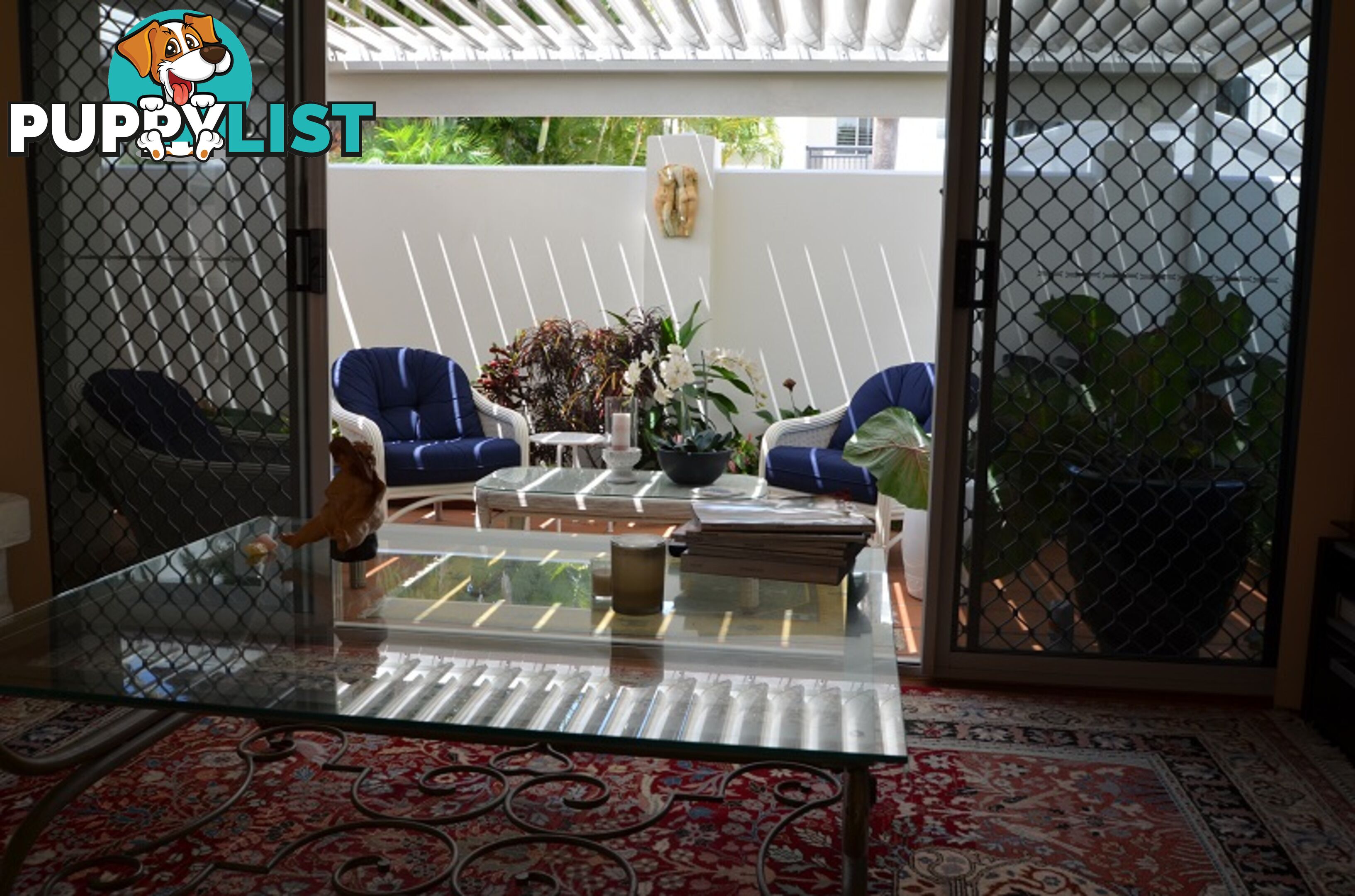 12/100 Cotlew St East SOUTHPORT QLD 4215