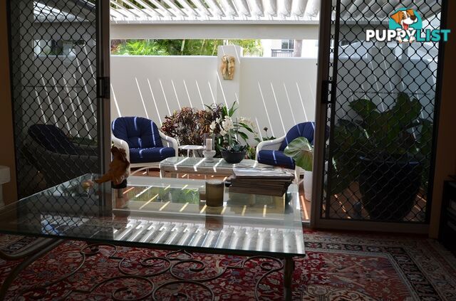 12/100 Cotlew St East SOUTHPORT QLD 4215