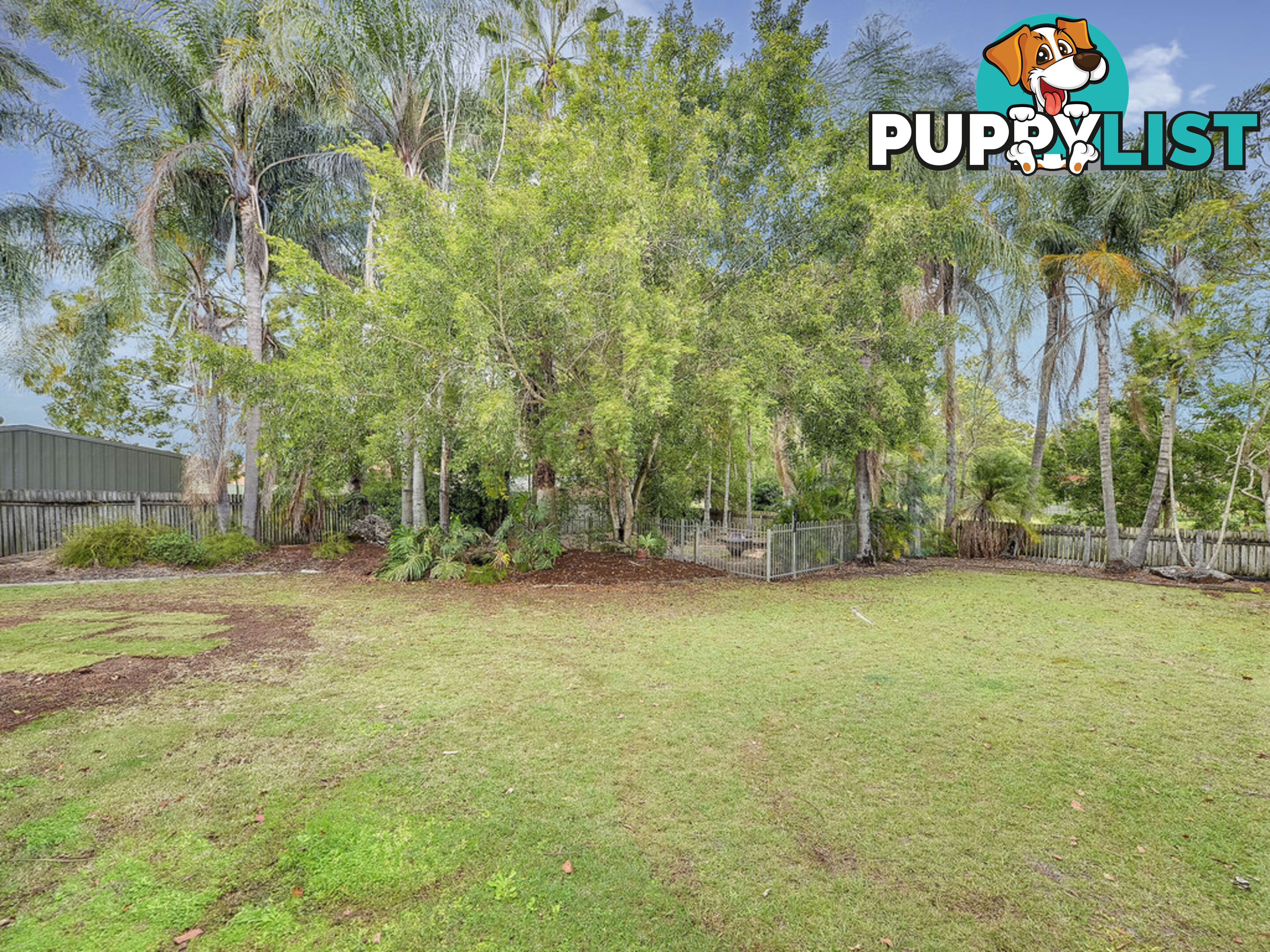 59 College Road KARANA DOWNS QLD 4306