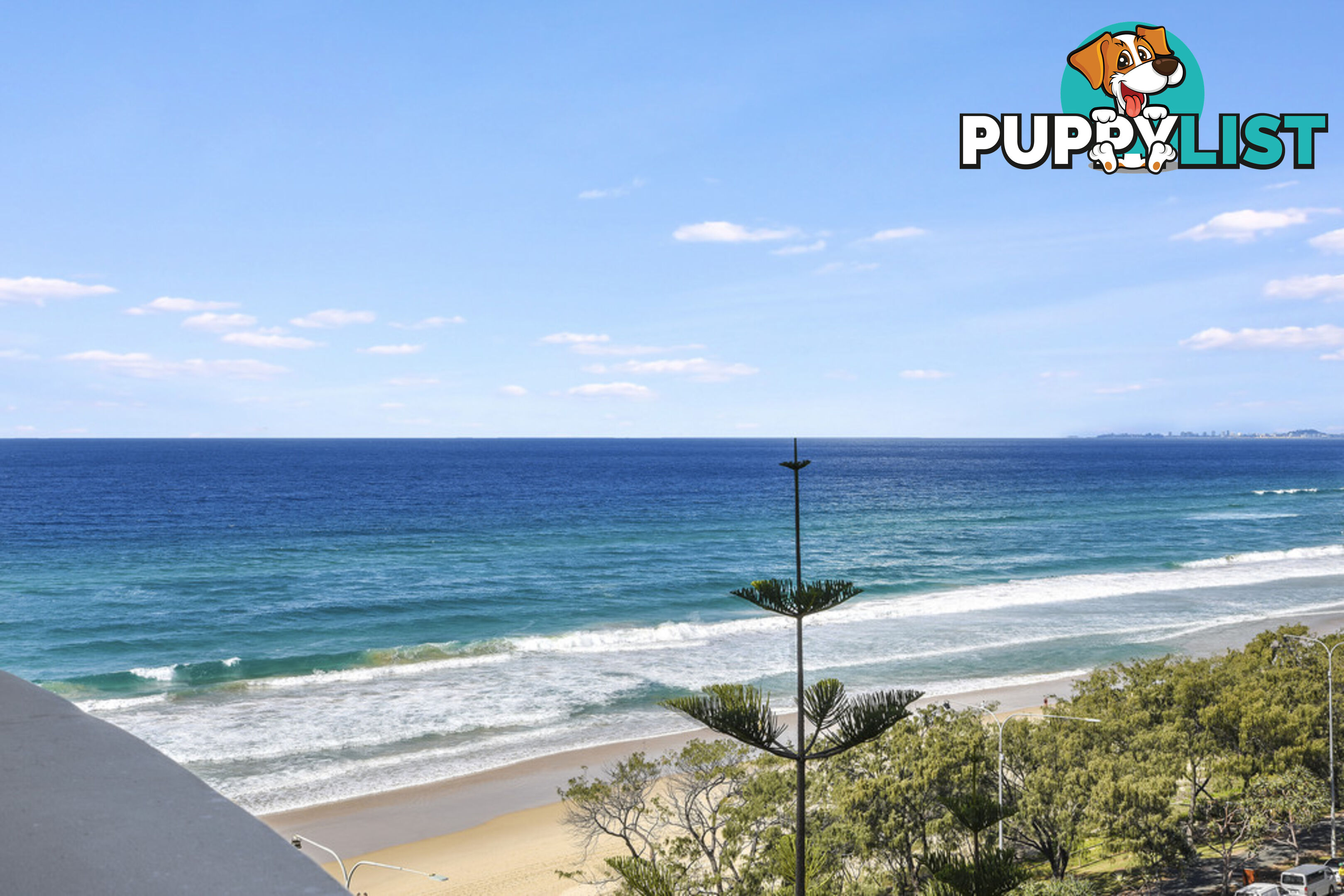 35/114 The Esplanade SURFERS PARADISE QLD 4217