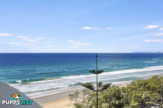 35/114 The Esplanade SURFERS PARADISE QLD 4217