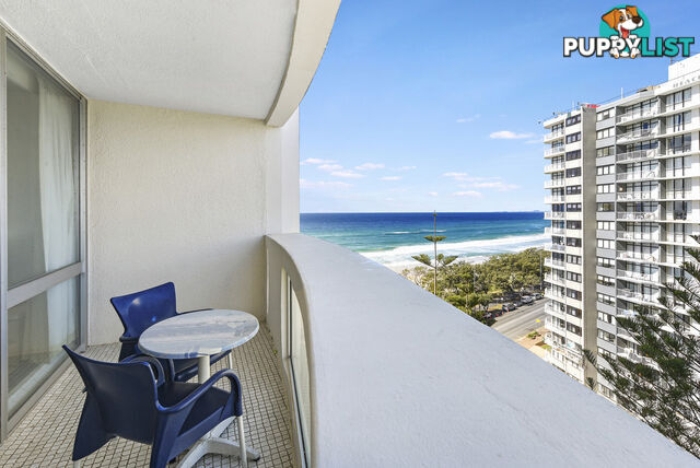 35/114 The Esplanade SURFERS PARADISE QLD 4217