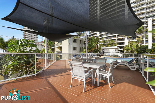 1302/5-25 Enderley Ave SURFERS PARADISE QLD 4217