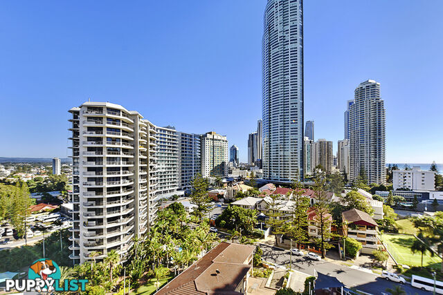 1302/5-25 Enderley Ave SURFERS PARADISE QLD 4217