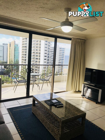 1302/5-25 Enderley Ave SURFERS PARADISE QLD 4217