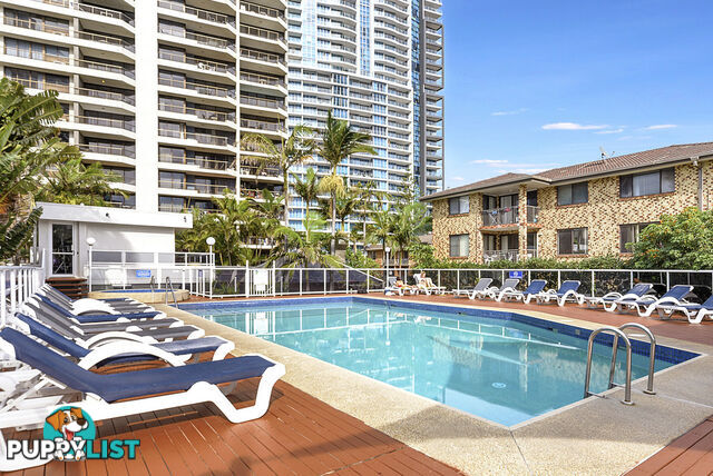 1302/5-25 Enderley Ave SURFERS PARADISE QLD 4217