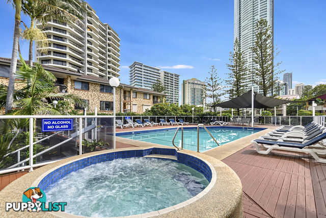 1302/5-25 Enderley Ave SURFERS PARADISE QLD 4217