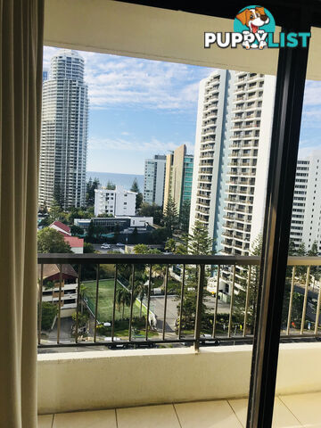 1302/5-25 Enderley Ave SURFERS PARADISE QLD 4217