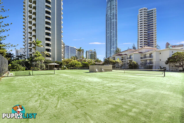 1302/5-25 Enderley Ave SURFERS PARADISE QLD 4217