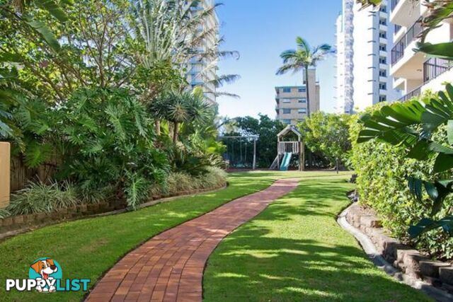 1302/5-25 Enderley Ave SURFERS PARADISE QLD 4217