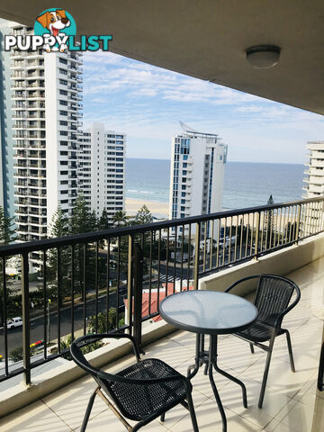 1302/5-25 Enderley Ave SURFERS PARADISE QLD 4217