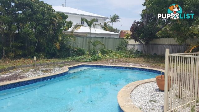 9 Skua Street BURLEIGH HEADS QLD 4220