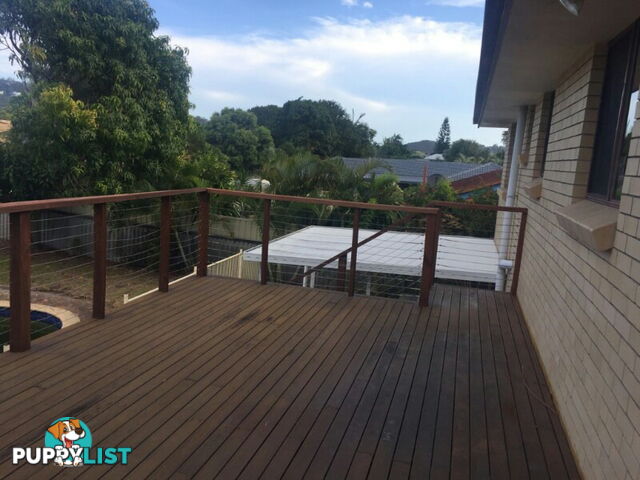 9 Skua Street BURLEIGH HEADS QLD 4220