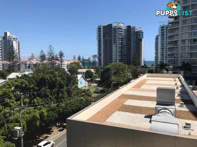 1054/20 Stuart Street TWEED HEADS NSW 2485