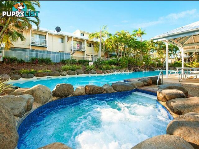 61/16 Crescent Avenue MERMAID BEACH QLD 4218