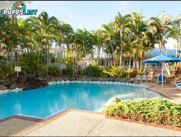 61/16 Crescent Avenue MERMAID BEACH QLD 4218