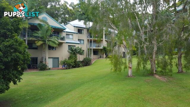 CURRUMBIN QLD 4223
