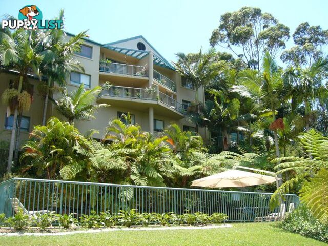 CURRUMBIN QLD 4223