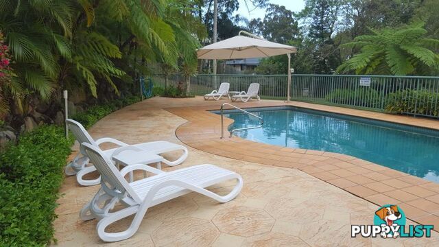 CURRUMBIN QLD 4223