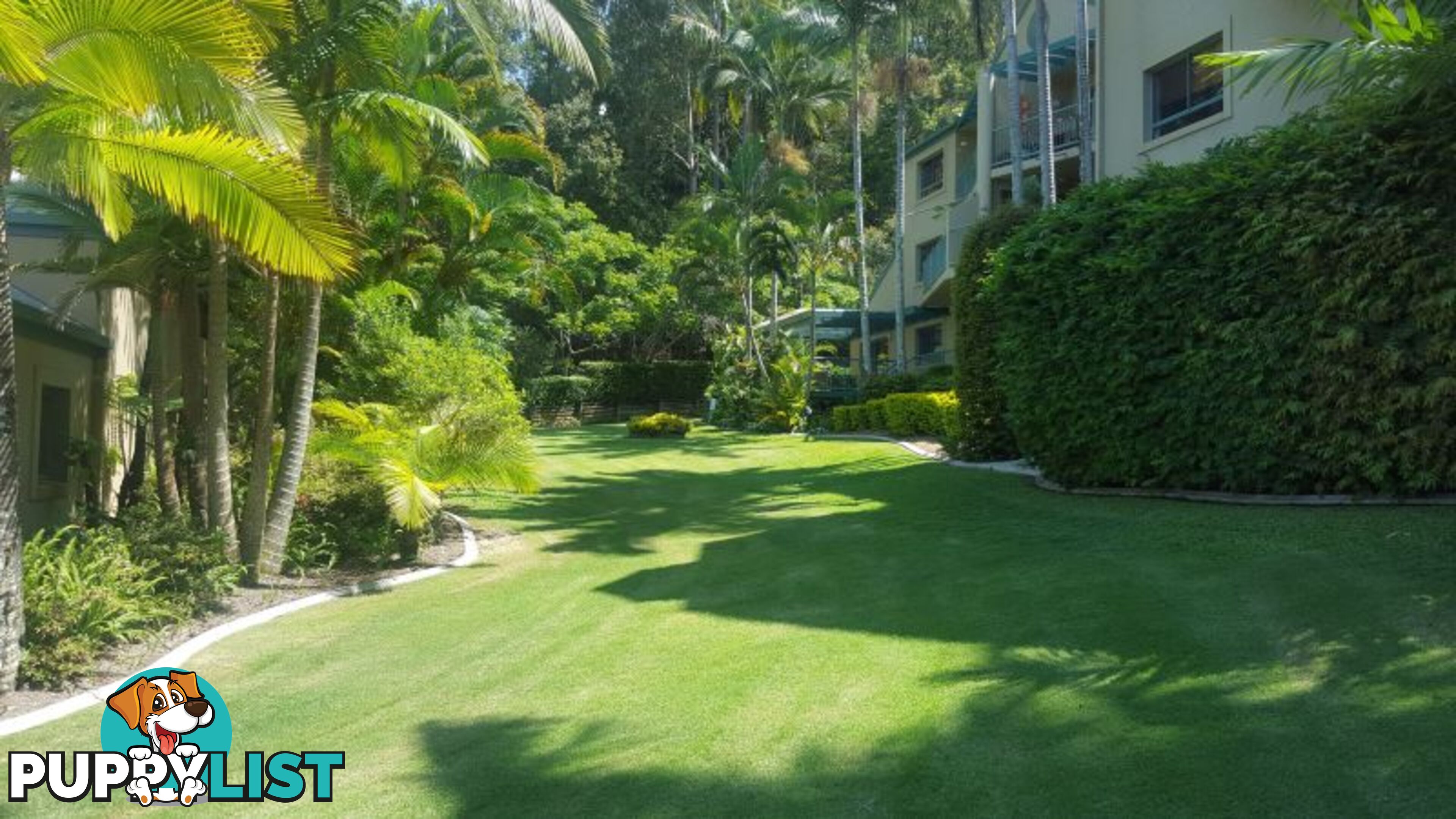 CURRUMBIN QLD 4223