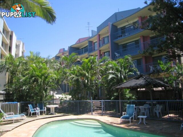 CALOUNDRA QLD 4551