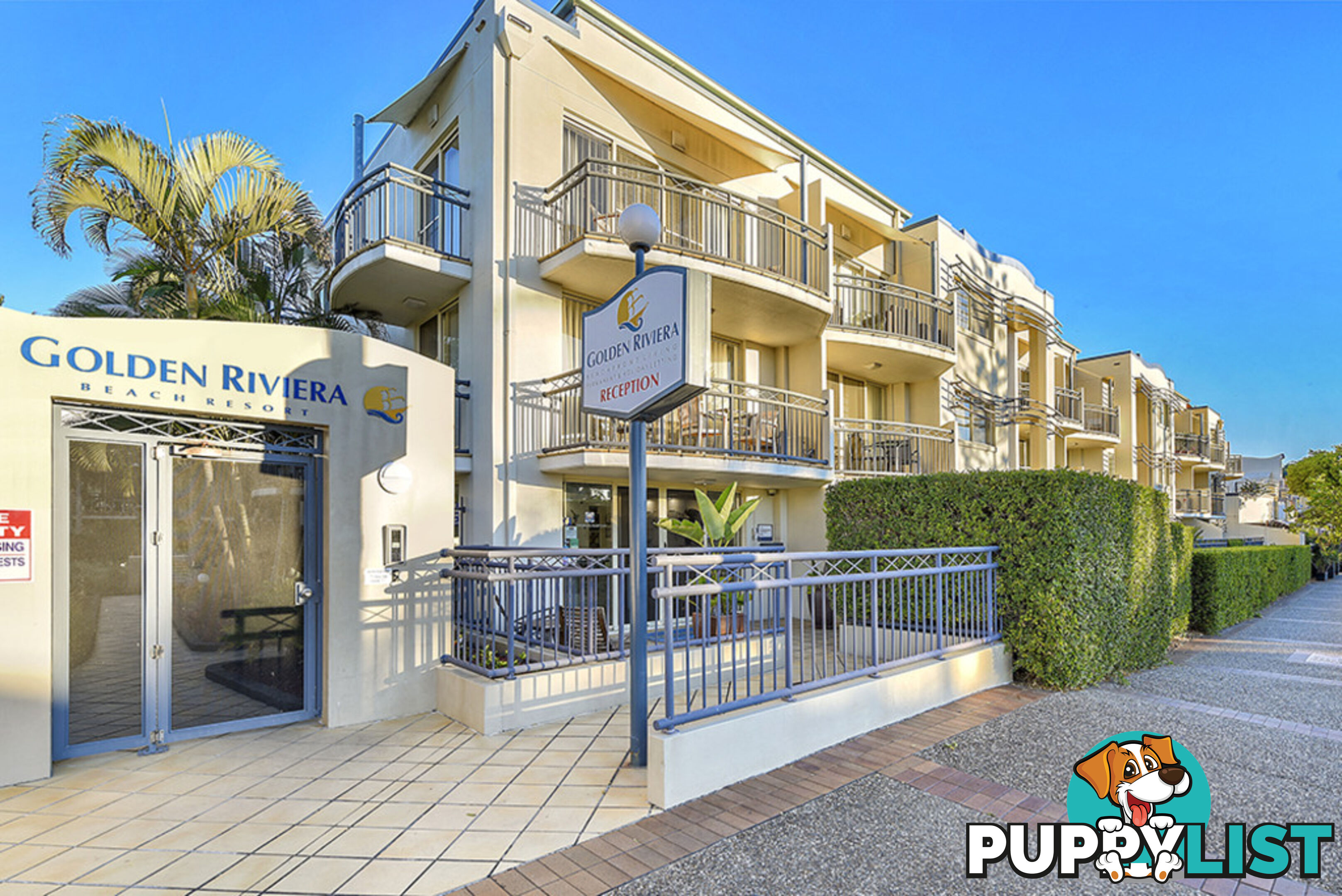 60/437 Golden Four Drive TUGUN QLD 4224