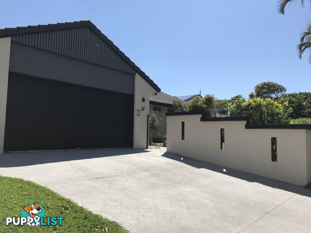 6 Goldfinch Court WURTULLA QLD 4575