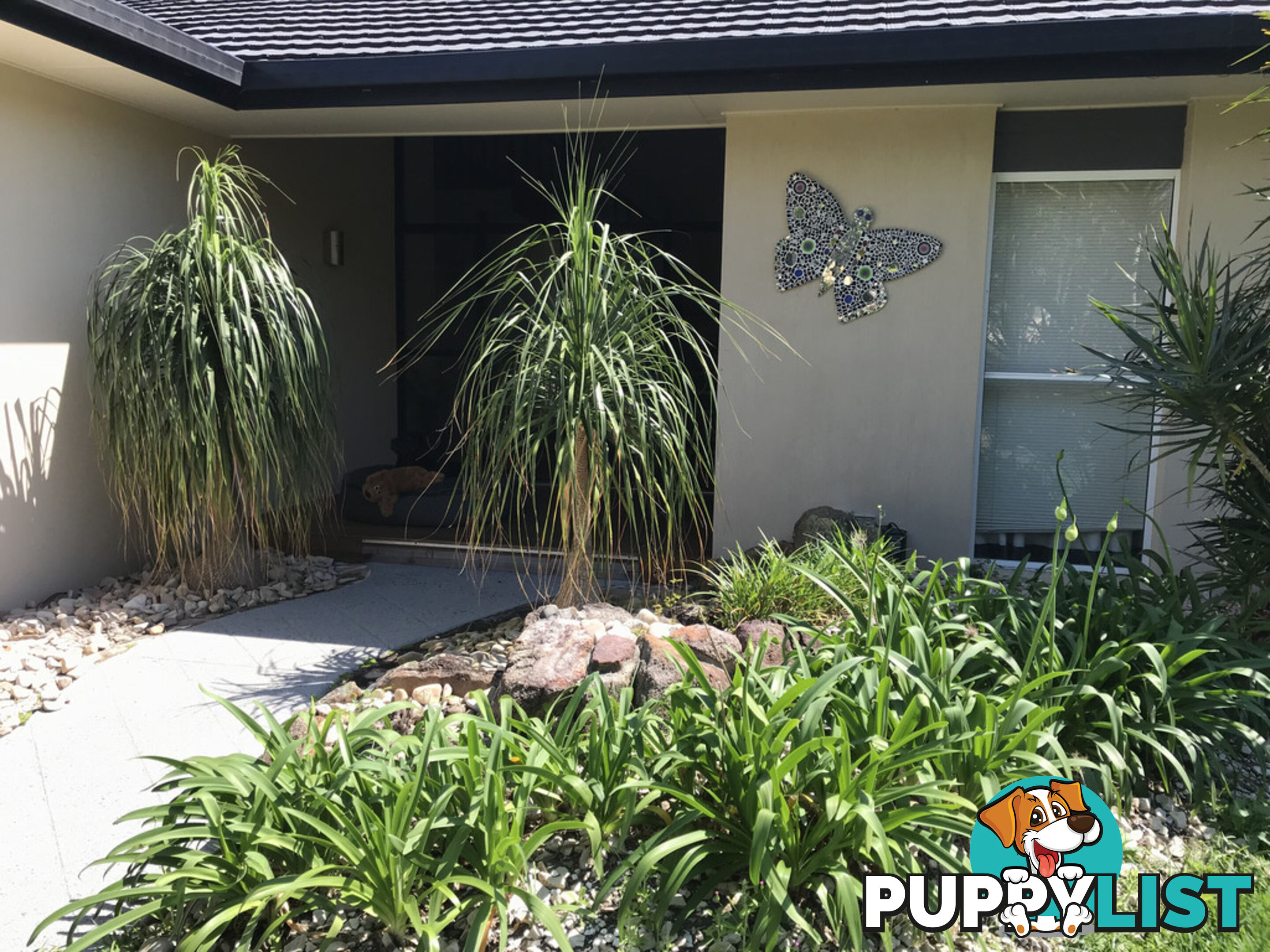 6 Goldfinch Court WURTULLA QLD 4575