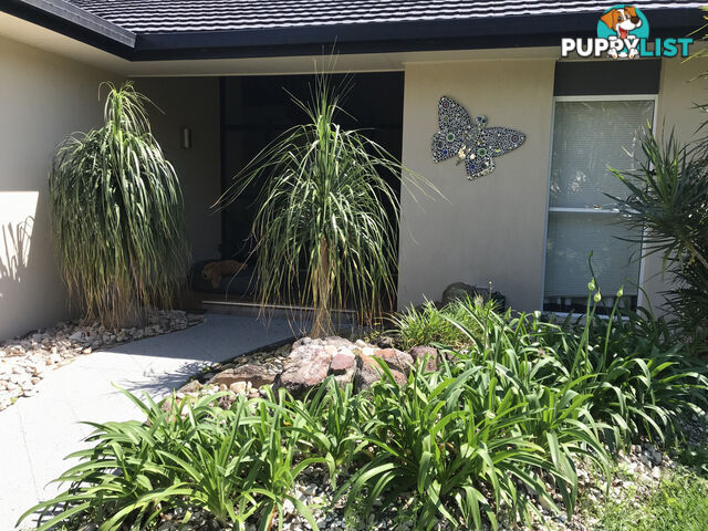 6 Goldfinch Court WURTULLA QLD 4575