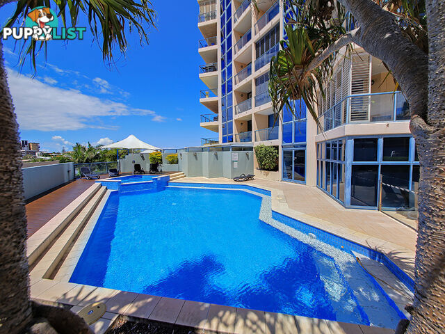 42 Ferry Street KANGAROO POINT QLD 4169