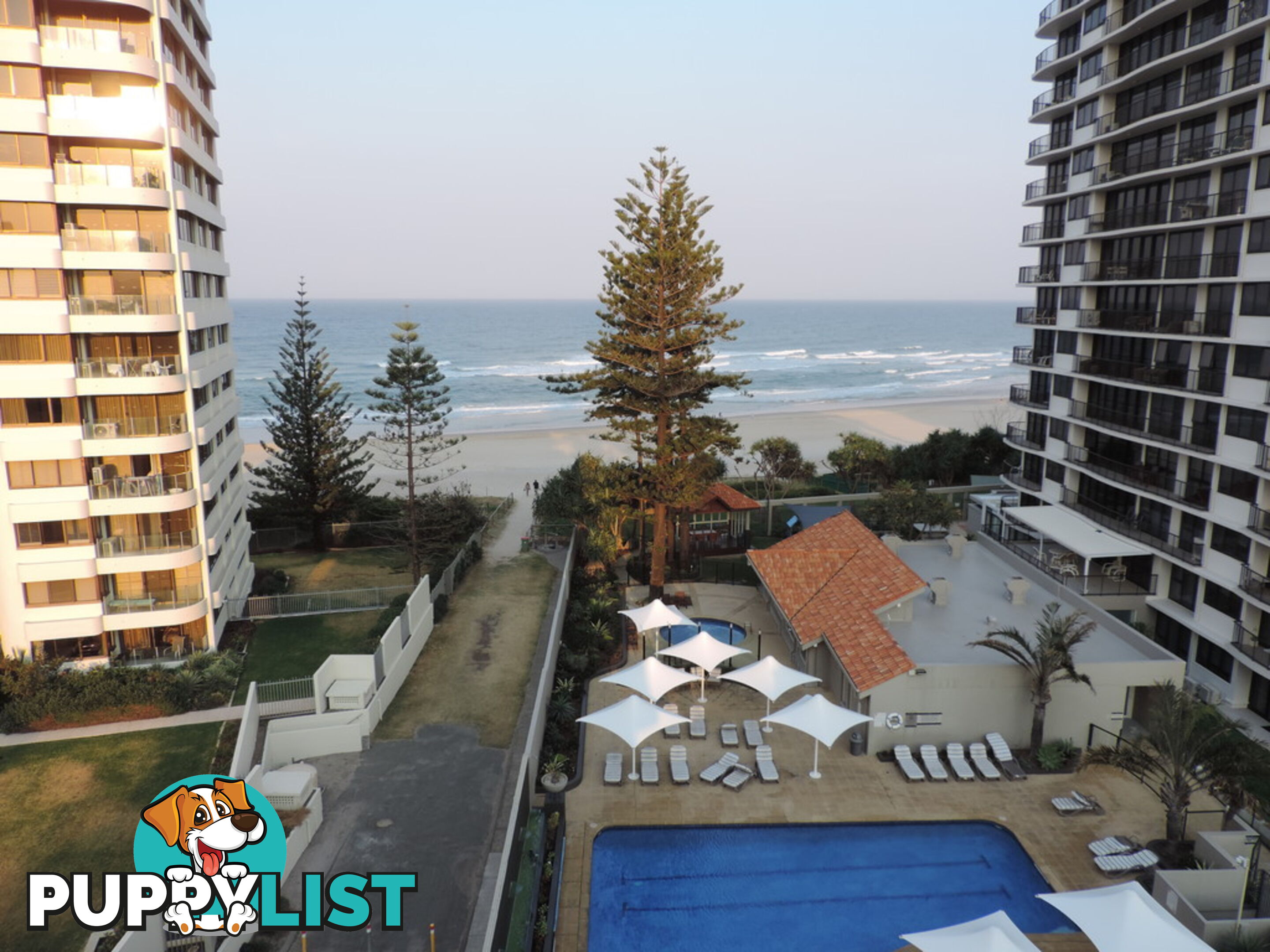 SURFERS PARADISE QLD 4217