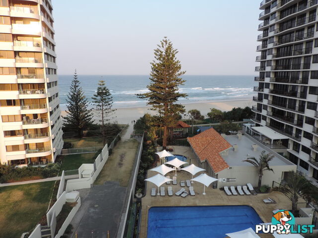 SURFERS PARADISE QLD 4217