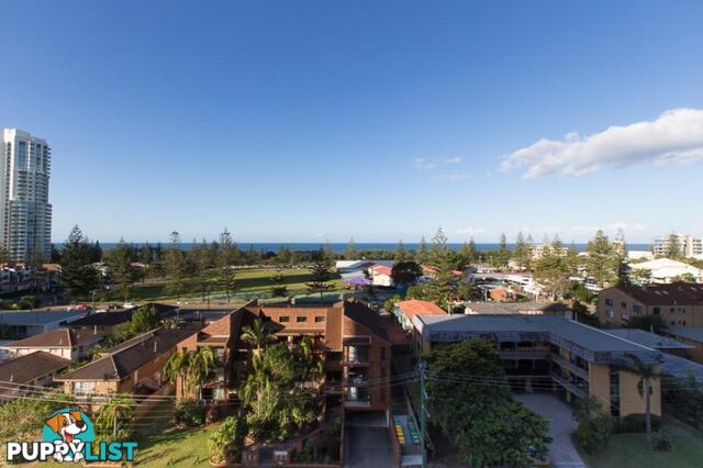 2073/2633 Gold Coast Highway BROADBEACH QLD 4218