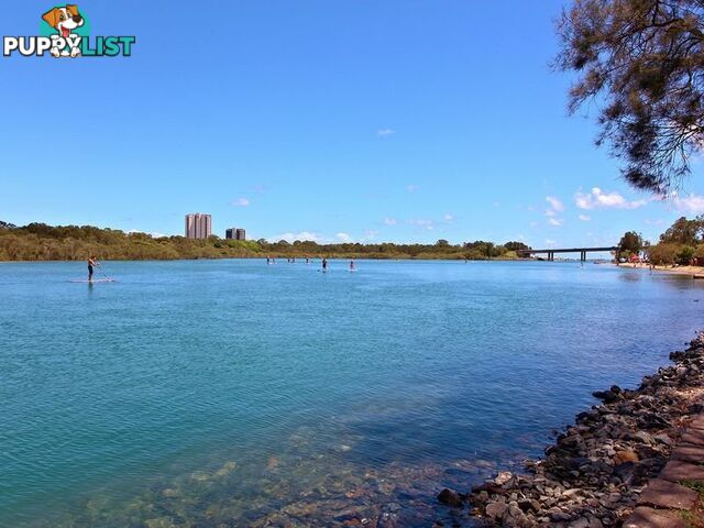 102/3-5 Thrower Drive CURRUMBIN QLD 4223