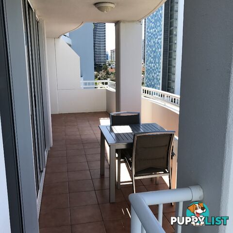 2054/2633 Gold Coast Highway BROADBEACH QLD 4218