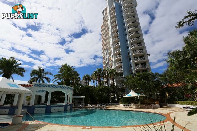 2054/2633 Gold Coast Highway BROADBEACH QLD 4218