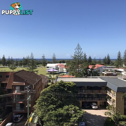 2054/2633 Gold Coast Highway BROADBEACH QLD 4218