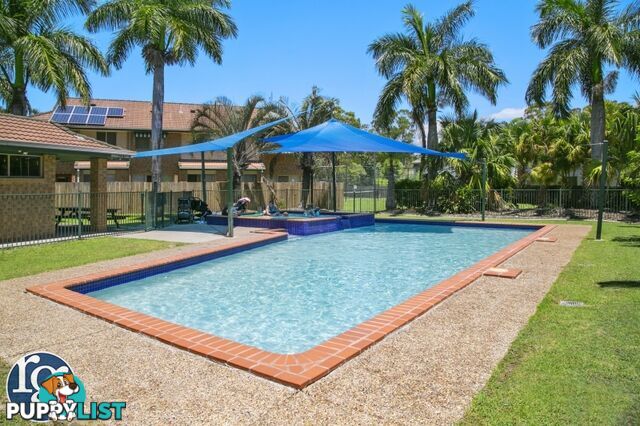 72/643 Pine Ridge Road BIGGERA WATERS QLD 4216