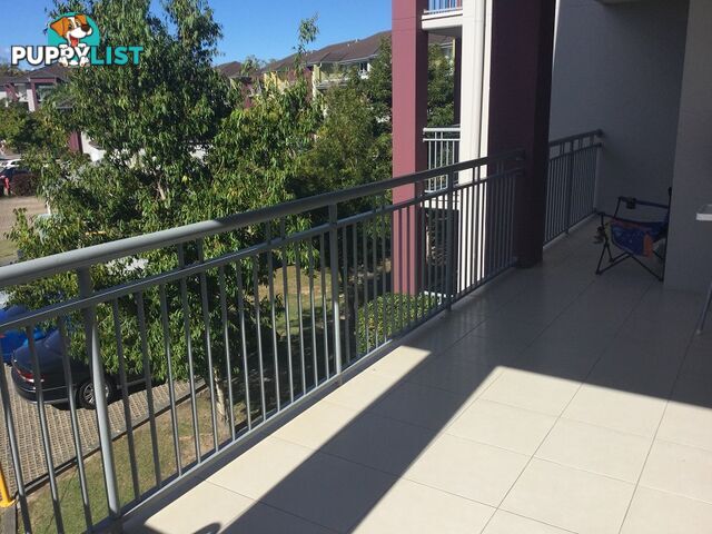 1006/33 Clark St BIGGERA WATERS QLD 4216