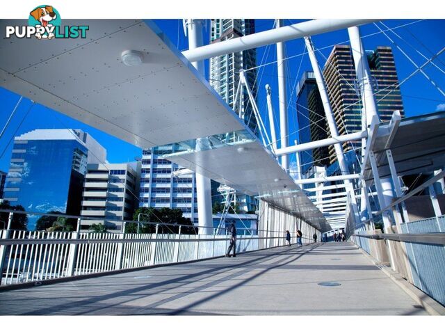 85/18 Tank Street BRISBANE CITY QLD 4000