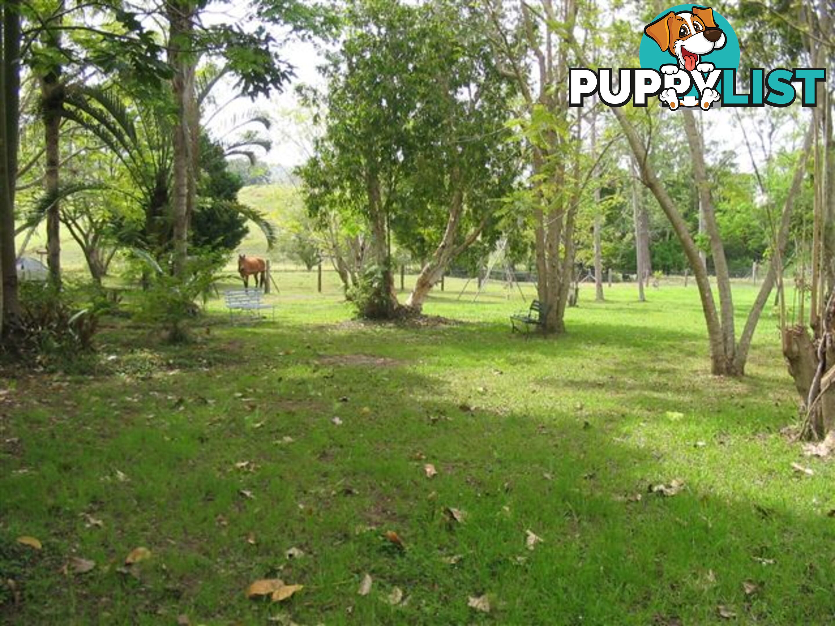 DAYBORO QLD 4521