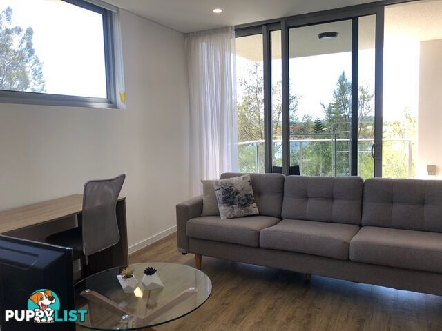 251/33 Lakefront Crescent VARSITY LAKES QLD 4227