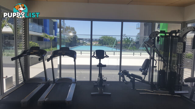 251/33 Lakefront Crescent VARSITY LAKES QLD 4227