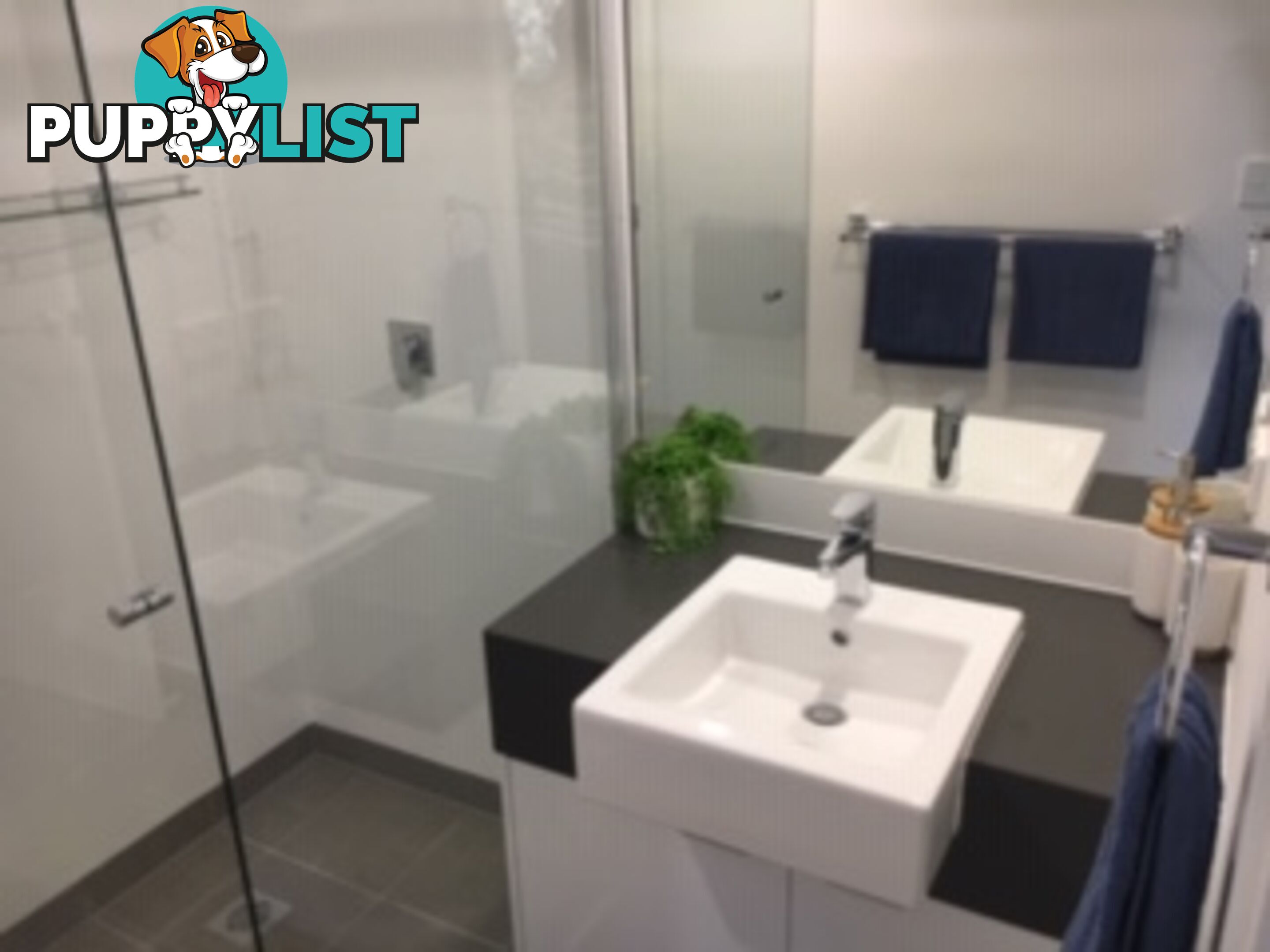 251/33 Lakefront Crescent VARSITY LAKES QLD 4227