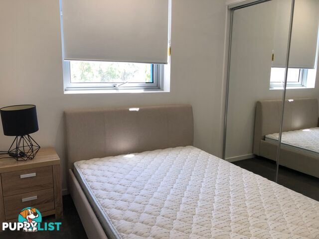 251/33 Lakefront Crescent VARSITY LAKES QLD 4227